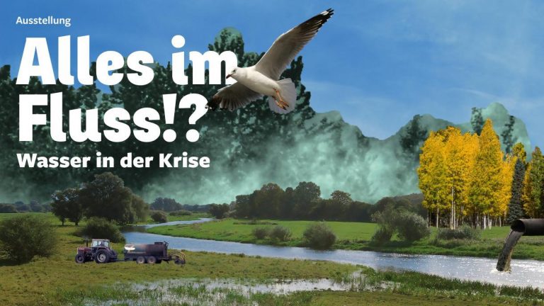 Wasserausstellung am Freitag